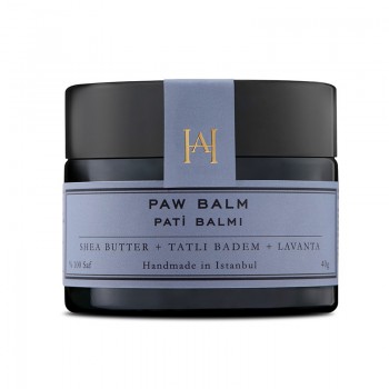 Pati Balmı
